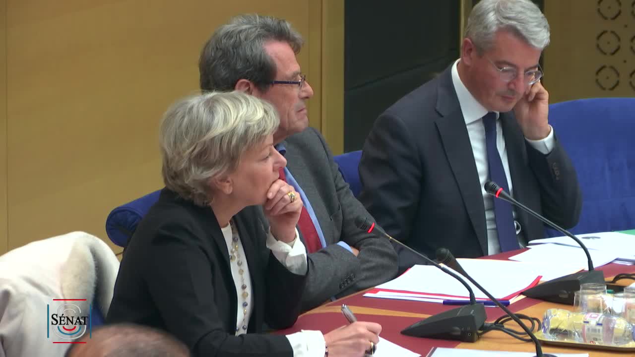 Article 13 de la Constitution - Audition de Mme Dominique Le Guludec, candidate proposée par le Président de la République à la présidence de la Haute Autorité de santé
