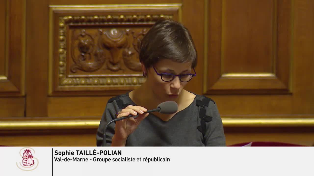 Séance publique du 9 novembre 2017 (après-midi)