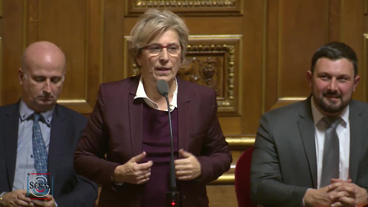 Séance publique du 17 novembre 2017 (après-midi)