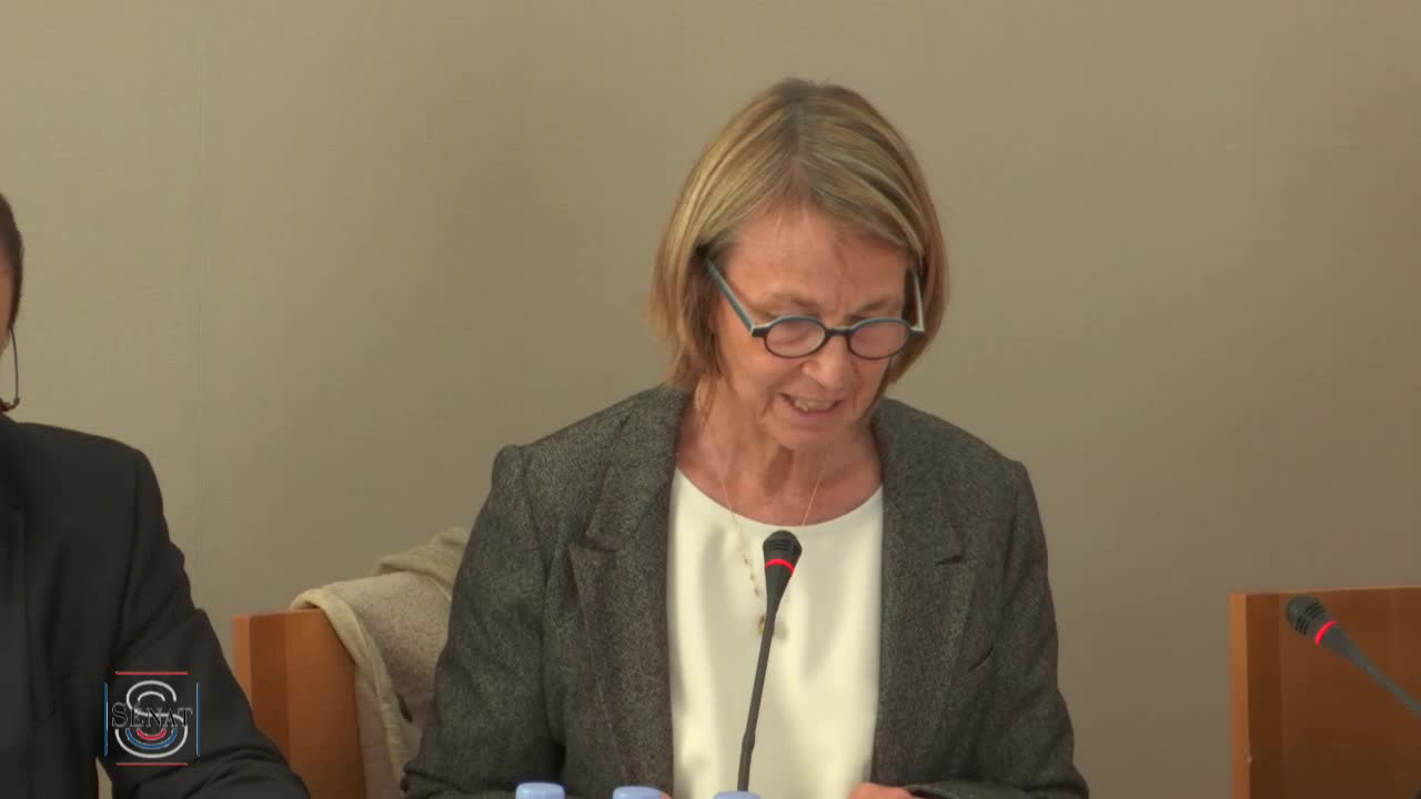 PLF 2018 - Audition Mme Françoise Nyssen, ministre
