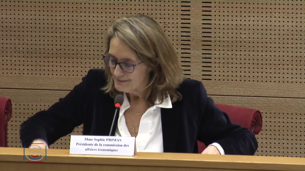 Conséquences économiques du retrait de la candidature Exposition universelle 2025 - Audition de M. Jean-Christophe Fromantin