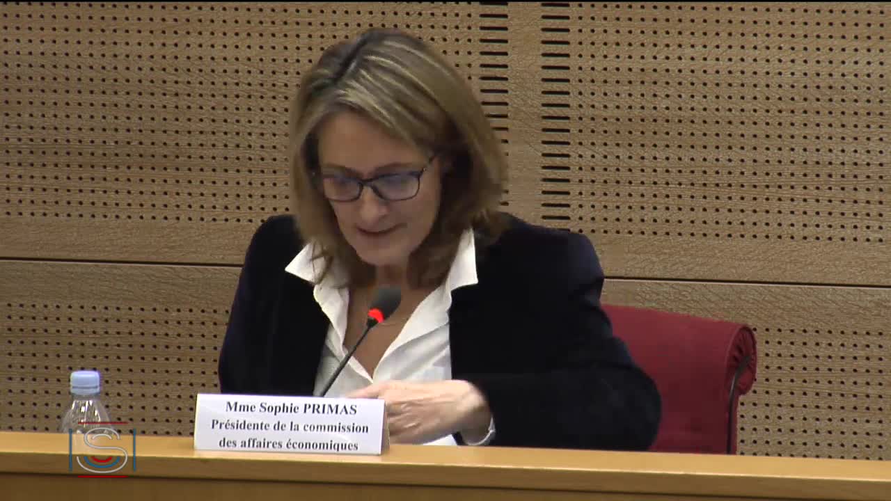 Audition de M. Nicolas Dufourcq, directeur général de Bpifrance