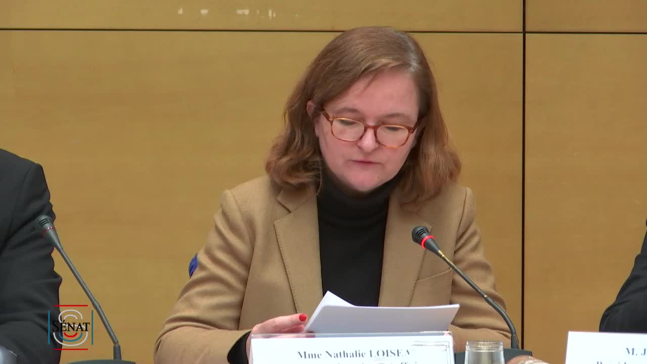 Audition de Mme Nathalie Loiseau sur le suivi des résolutions européennes du Sénat