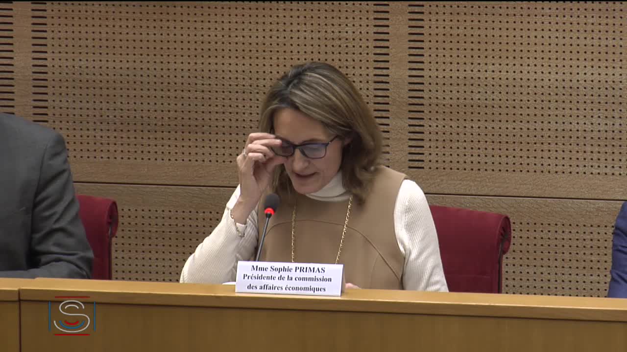 Audition de M. Patrick Dehaumont, directeur général de l'Alimentation
