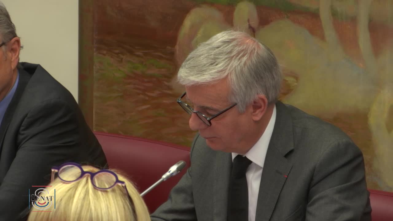 Article 13 de la Constitution - Audition de Mme Chantal Jouanno, candidate aux fonctions de Président de la CNDP