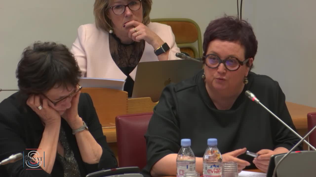 Situation dans les EHPAD - Audition de Mme Agnès Buzyn, ministre des solidarités et de la santé