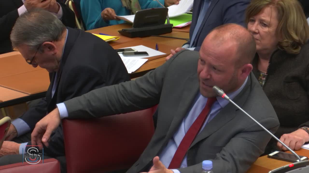 Situation dans les EHPAD - Audition de Mme Agnès Buzyn, ministre des solidarités et de la santé