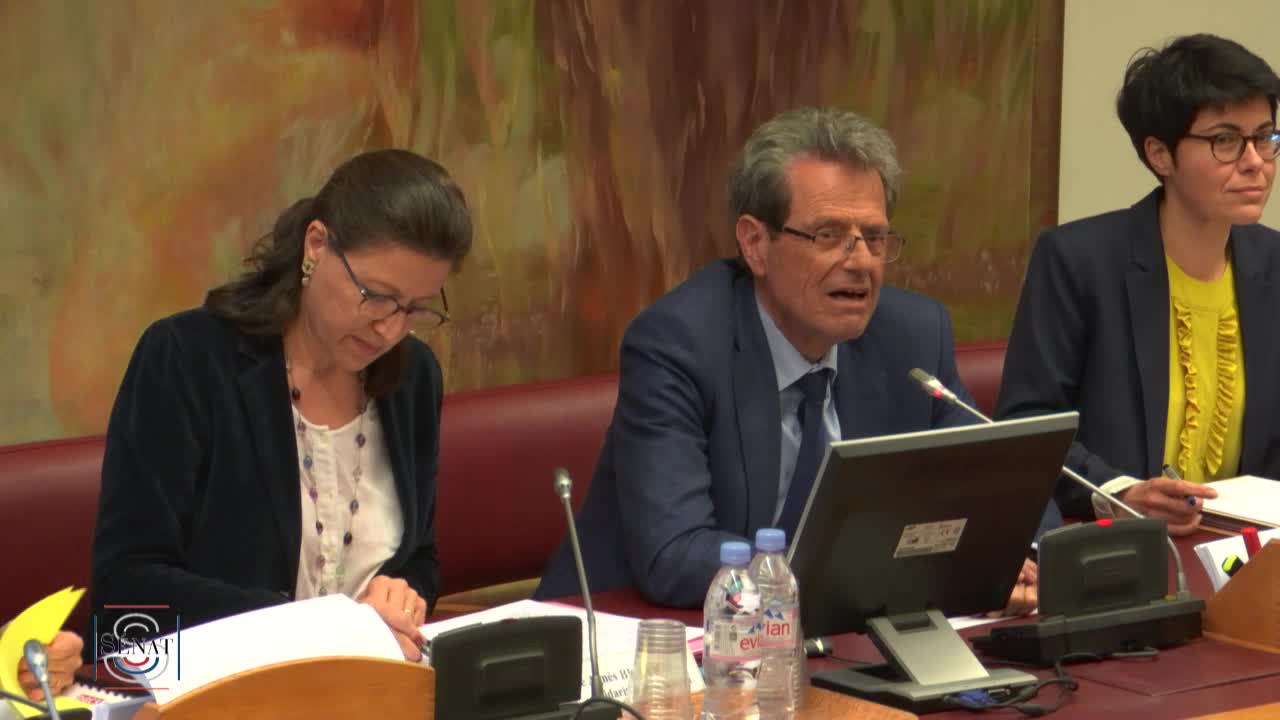 Situation dans les EHPAD - Audition de Mme Agnès Buzyn, ministre des solidarités et de la santé