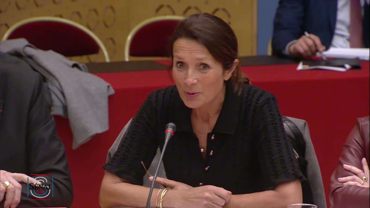 "Revitalisation des centres-villes et centres-bourgs" Table ronde spéciale e-commerce avec des représentants des groupes spécialisés