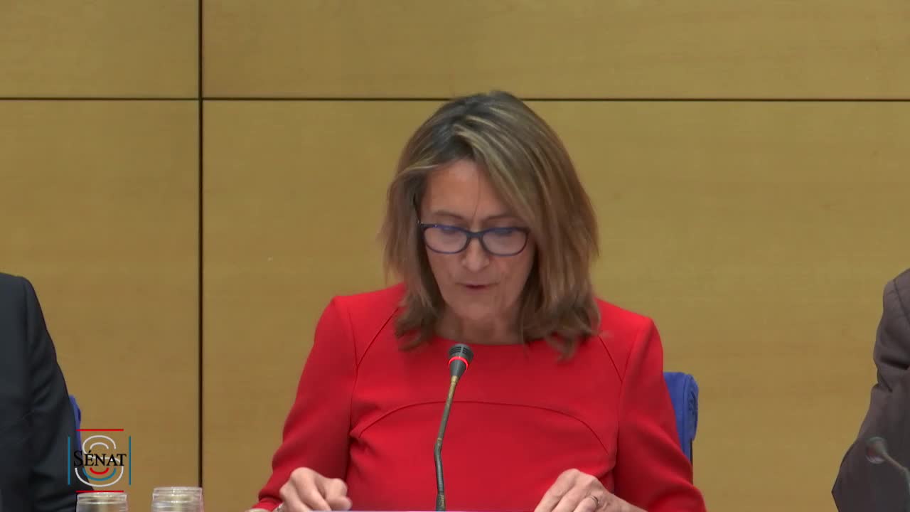 Audition de M. Christian Dubreuil, directeur général de l'Office national des forêts (ONF)