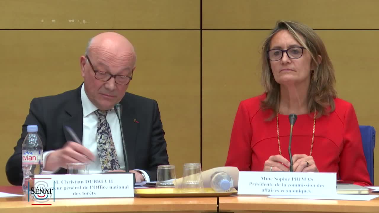 Audition de M. Christian Dubreuil, directeur général de l'Office national des forêts (ONF)