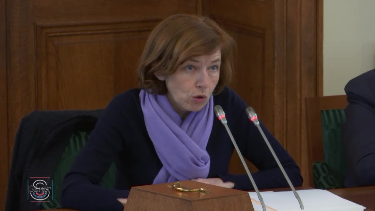 Projet de loi de programmation militaire 2019-2025 - Audition de Mme Florence Parly, ministre des armées