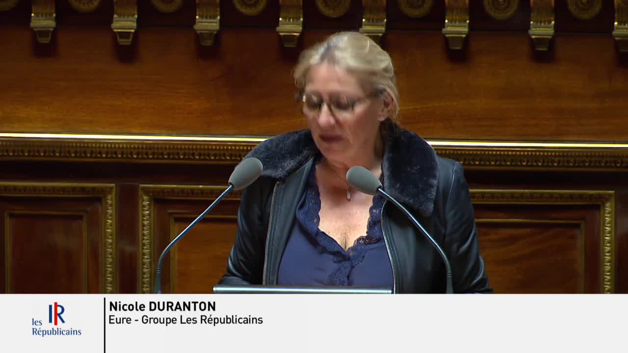 Séance publique du 4 avril 2018 (après-midi)