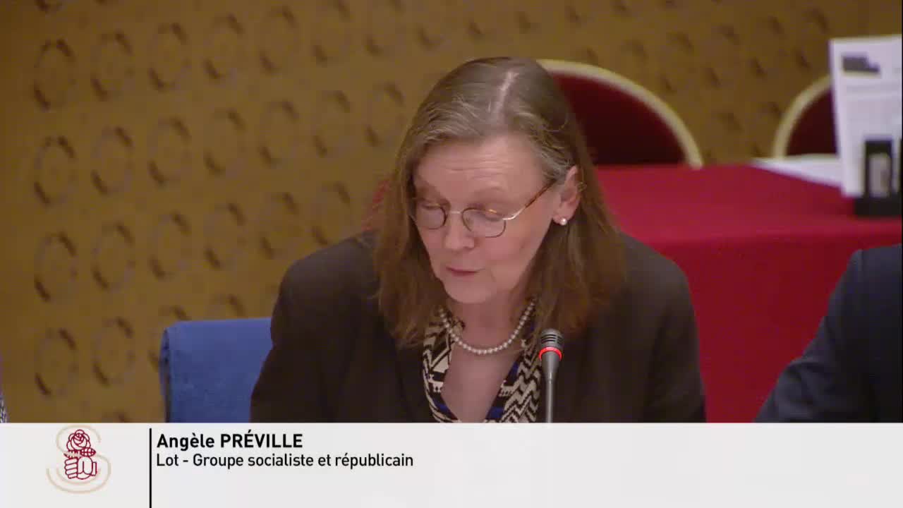 Pollution de l'air - Audition de Mme Anne Hidalgo, Maire de la ville de Paris