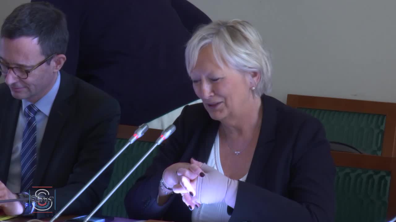 Action du CSA sur les droits des femmes - Audition de Mme Sylvie Pierre-Brossolette