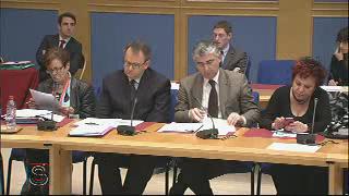 Audition de Mme Reding, Vice-Présidente de la Commission européenne chargée de la justice, des droits fondamentaux et de la citoyenneté