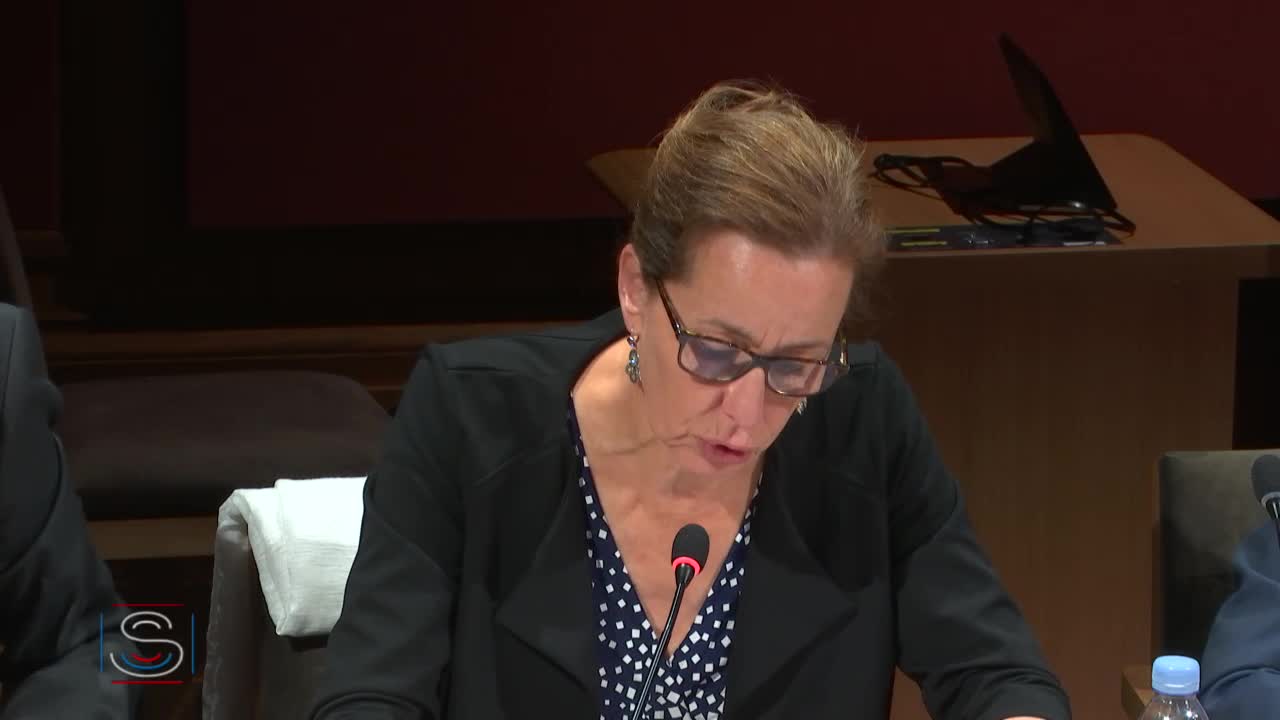 Détachement des travailleurs - rapport d’information, PPRE et avis politique de Mme Fabienne Keller et M. Didier Marie