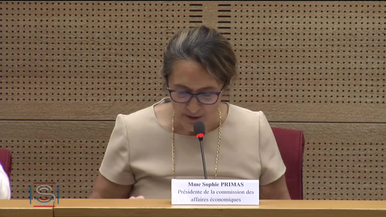 Audition de Mme Isabelle Kocher, directeur général d'Engie