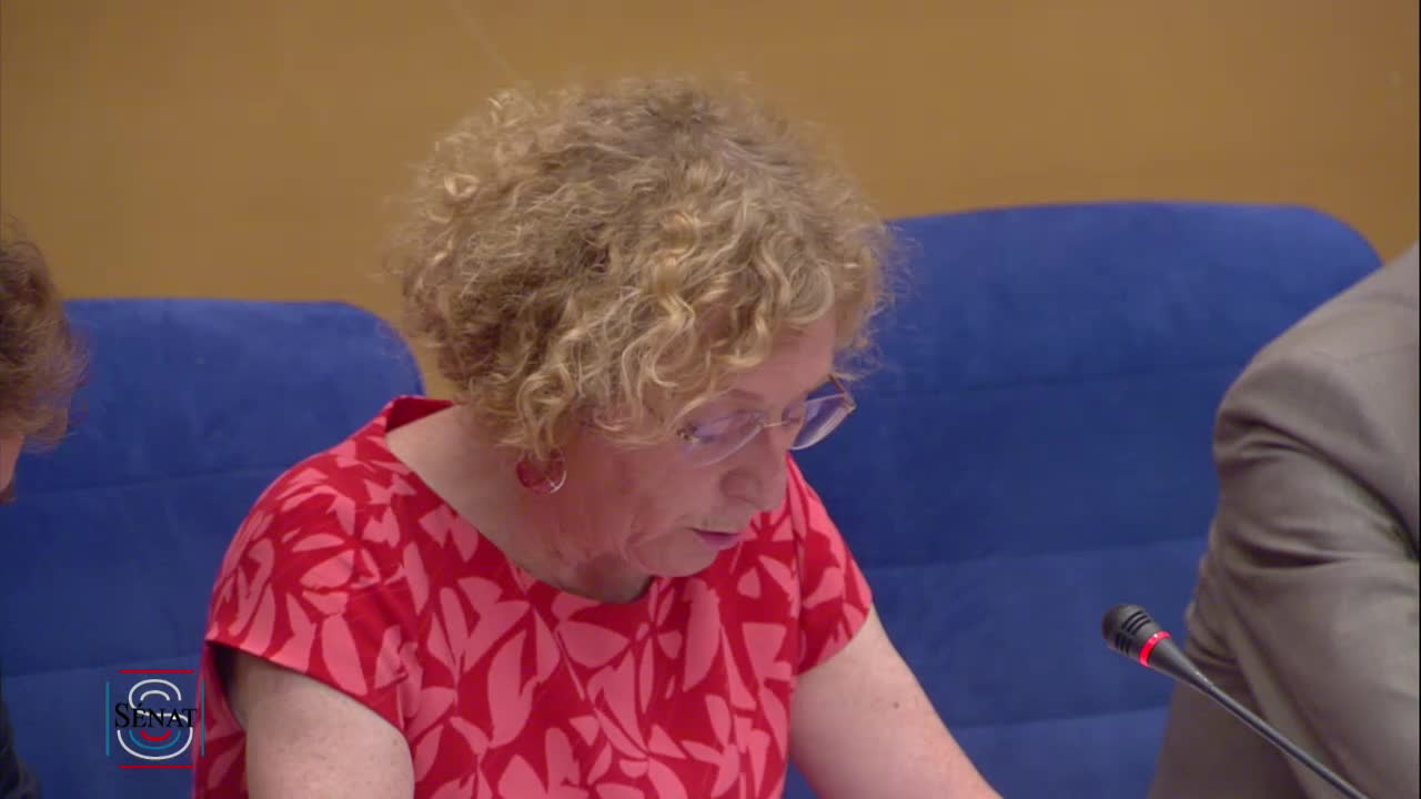 PJL pour la liberté de choisir son avenir professionnel - Audition de Mme Muriel Pénicaud