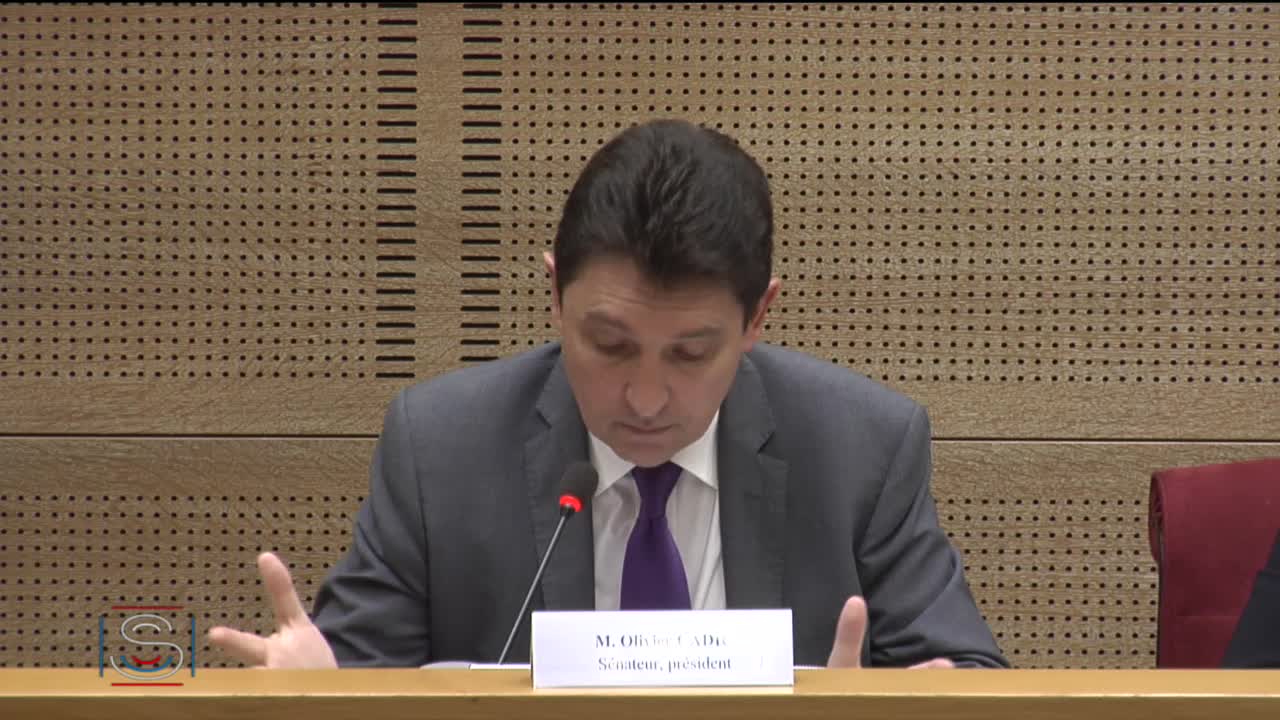 Audition de M. Kim Yong Il, Délégué général à Paris de la République populaire démocratique de Corée