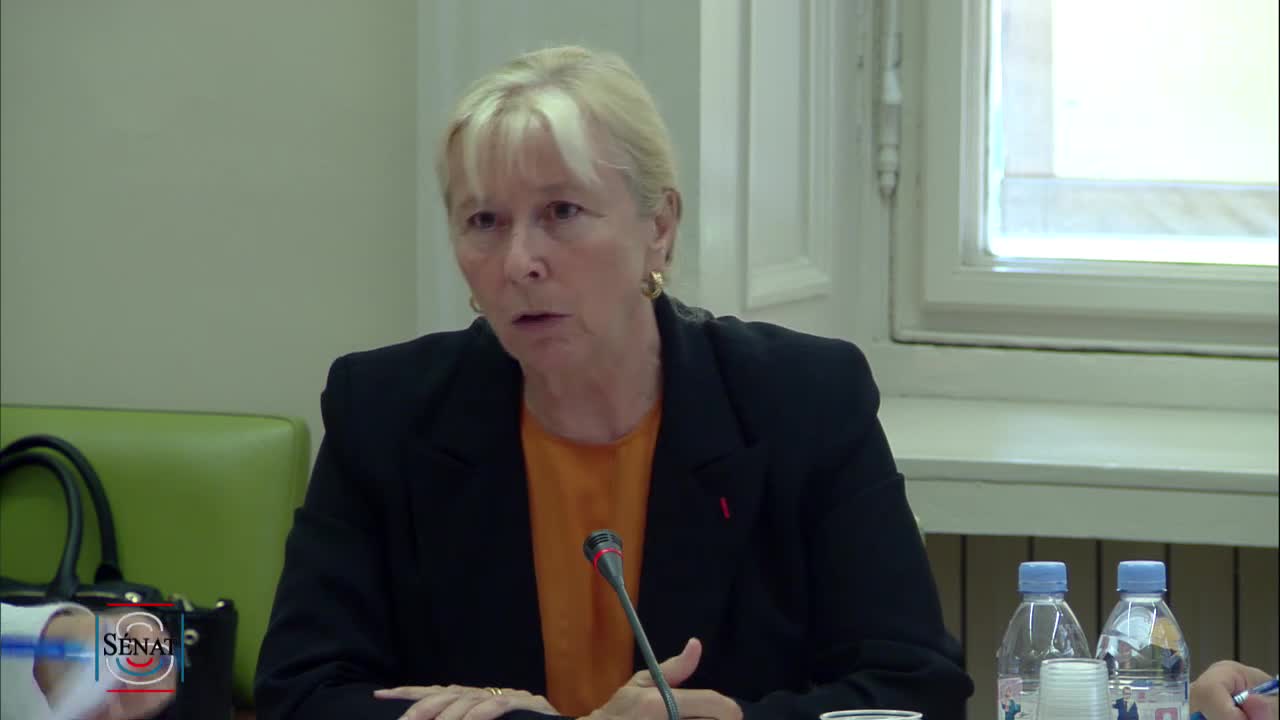 Audition, en application de l'article 13 de la Constitution, de Mme Élisabeth Ayrault, candidate proposée aux fonctions de président du directoire de la Compagnie nationale du Rhône (CNR)