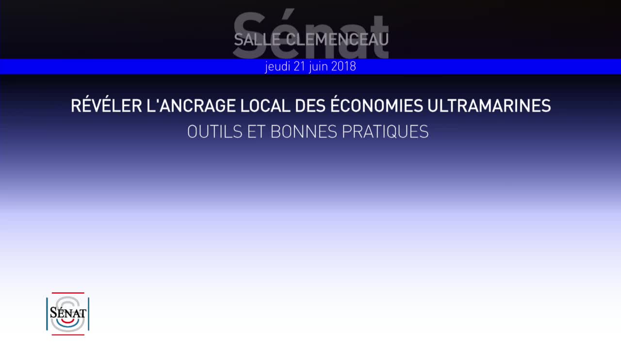 Colloque : Révéler l'ancrage local des économies ultramarines : outils et bonnes pratiques