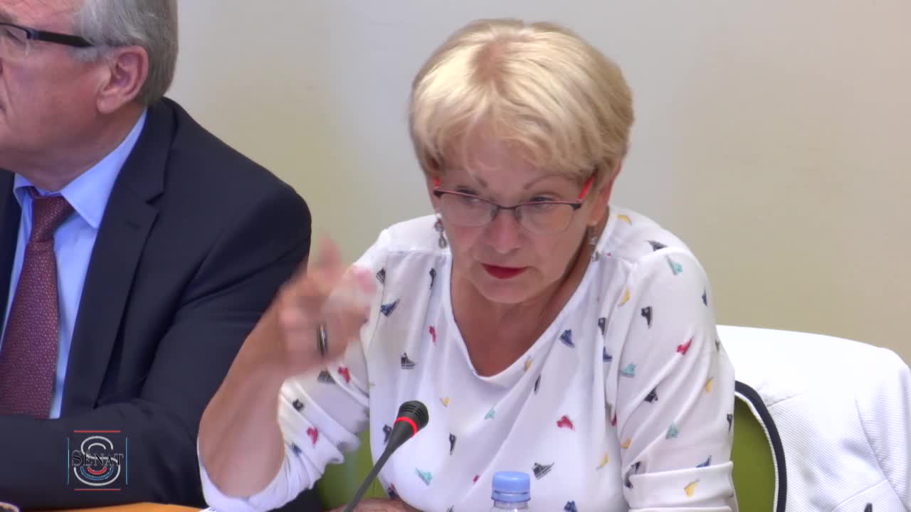 Audition de Brune Poirson, Secrétaire d'État auprès du ministre d'État, ministre de la Transition écologique et solidaire