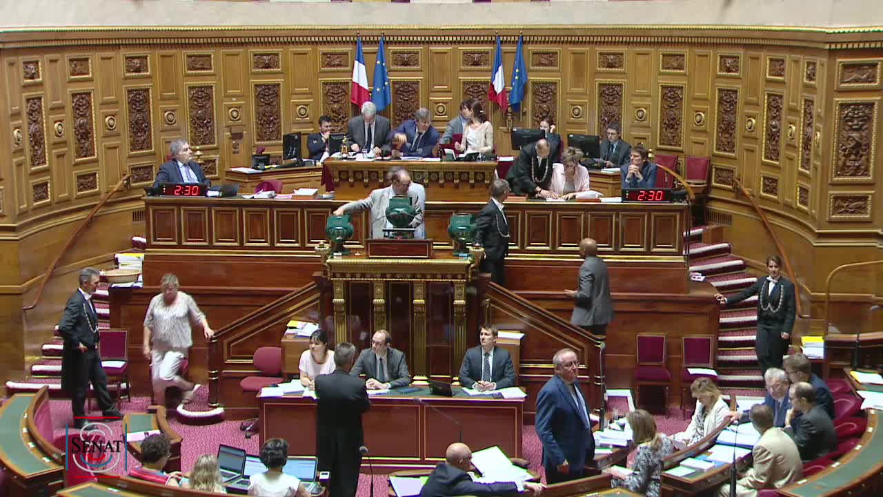 Séance publique du 29 juin 2018 (matin)