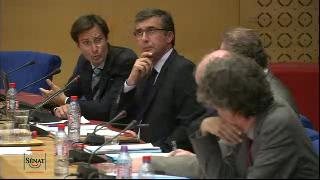 Audition le 29 mai 2012 de Google France par la Commission d'enquête Evasion des capitaux