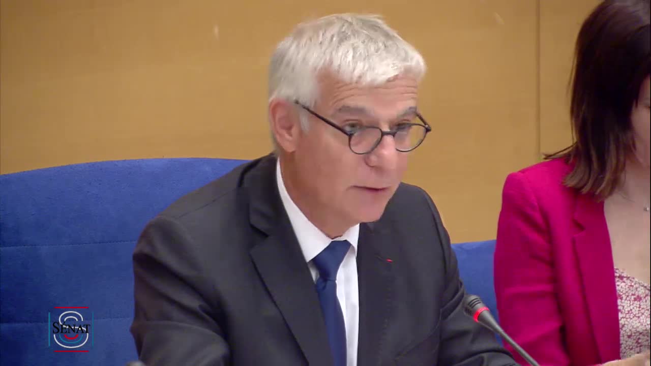 Table ronde relative à l'inscription des enjeux climatiques et environnementaux dans la Constitution