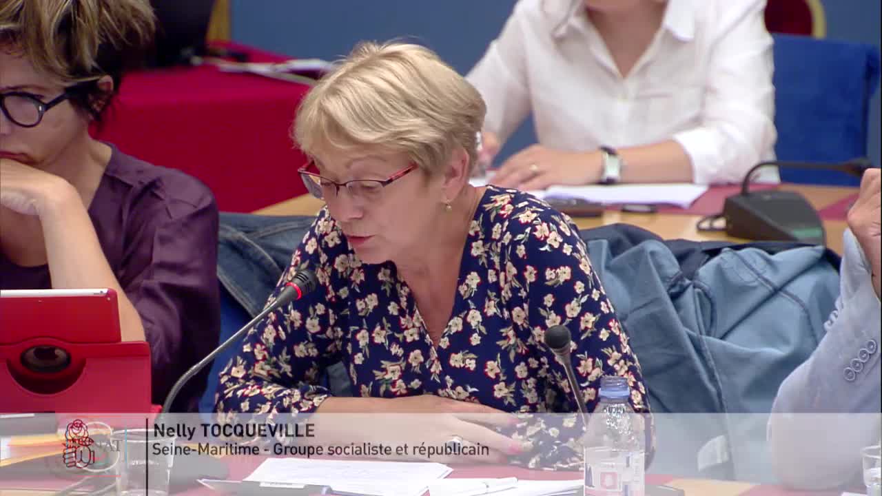 Table ronde relative à l'inscription des enjeux climatiques et environnementaux dans la Constitution