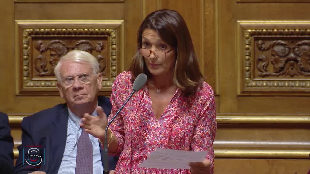 Séance publique du 10 juillet 2018 (après-midi)