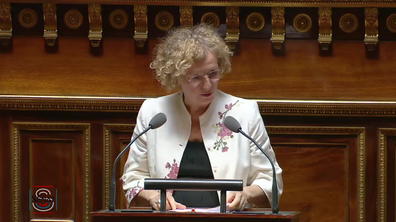 Séance publique du 10 juillet 2018 (après-midi)