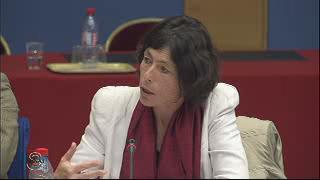 Audition de Dominique Baudis, Défenseur des Droits