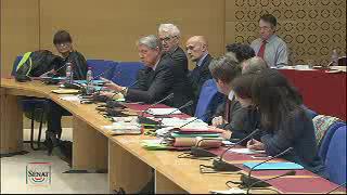 Commission d'enquête sur l'influence des mouvements à caractère sectaire.