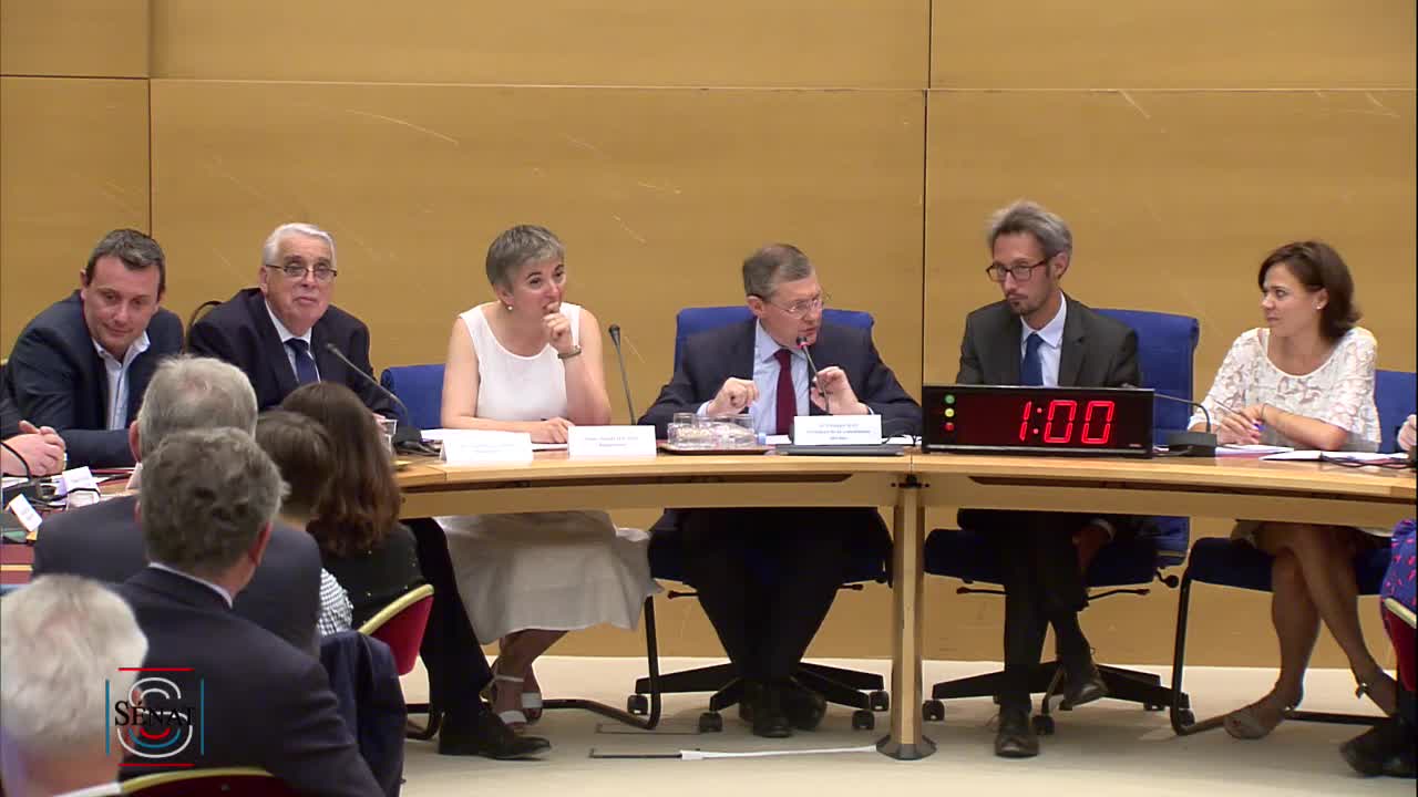 Audition des organisations professionnelles de la police nationale