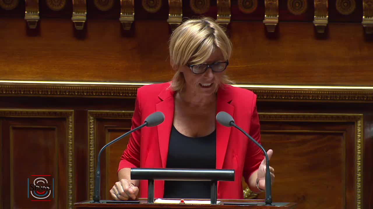 Séance publique du 30 juillet 2018 (après-midi)