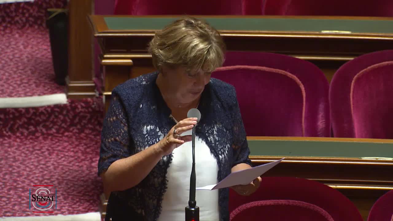 Séance publique du 31 juillet 2018 (matin)