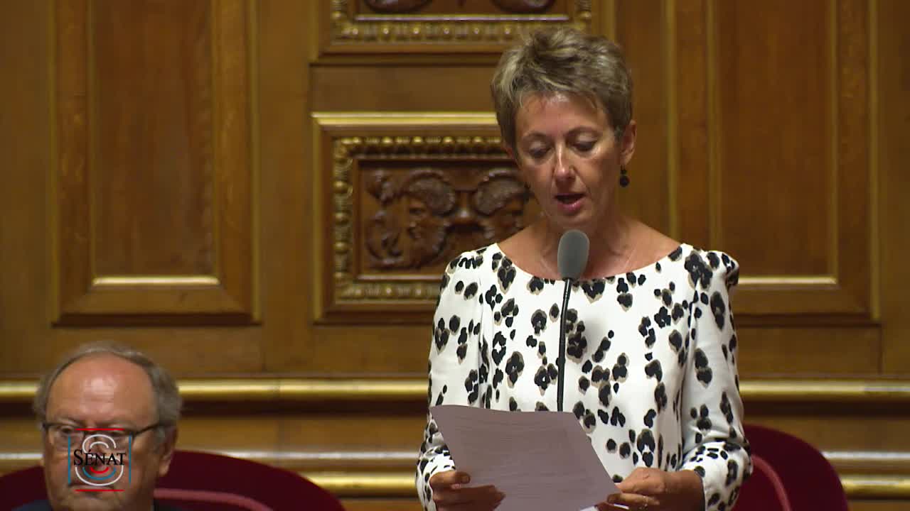 Séance publique du 31 juillet 2018 (matin)