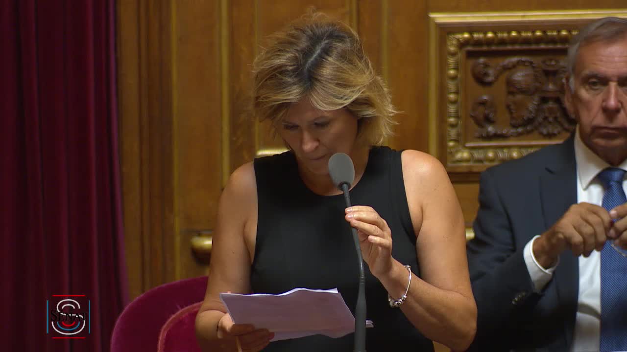 Séance publique du 31 juillet 2018 (matin)