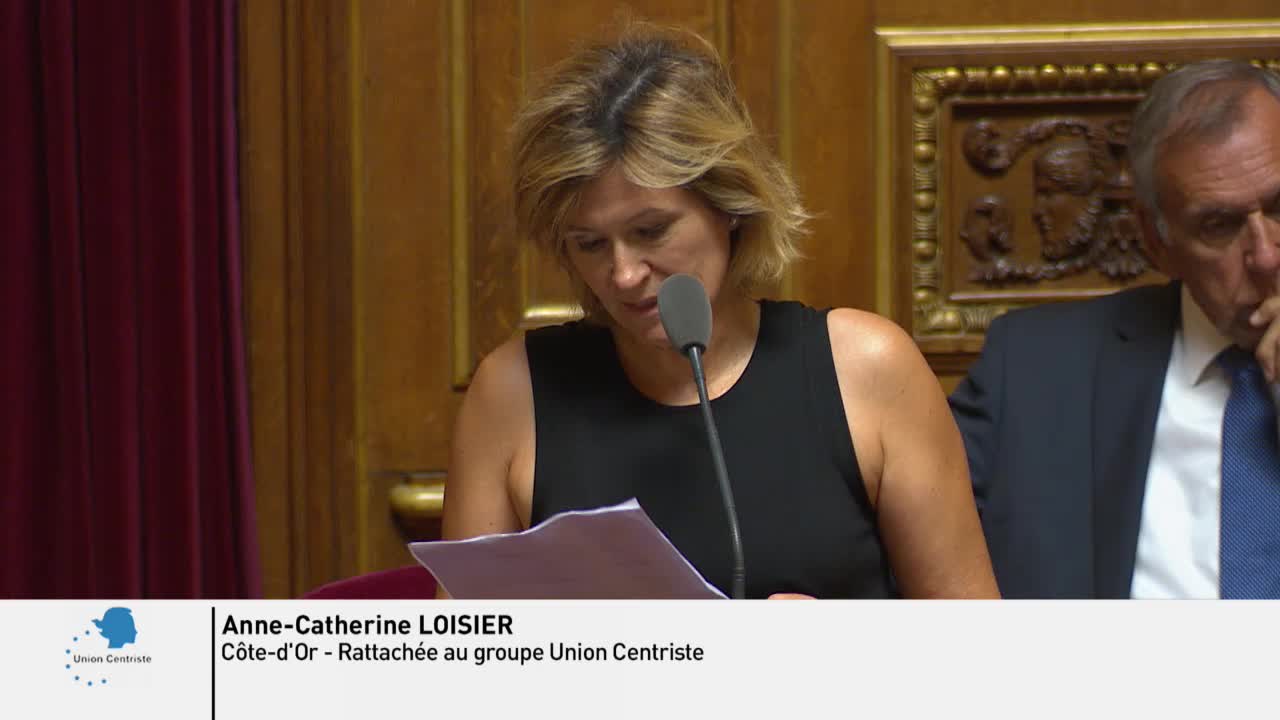 Séance publique du 31 juillet 2018 (matin)