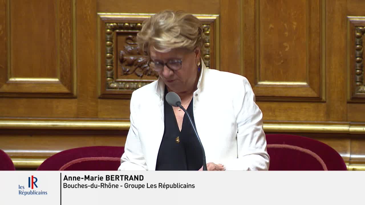 Séance publique du 31 juillet 2018 (matin)