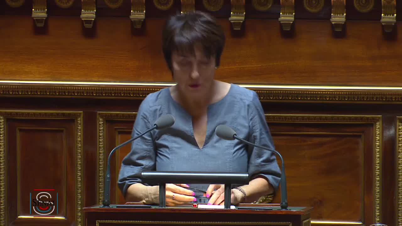 Séance publique du 31 juillet 2018 (après-midi)