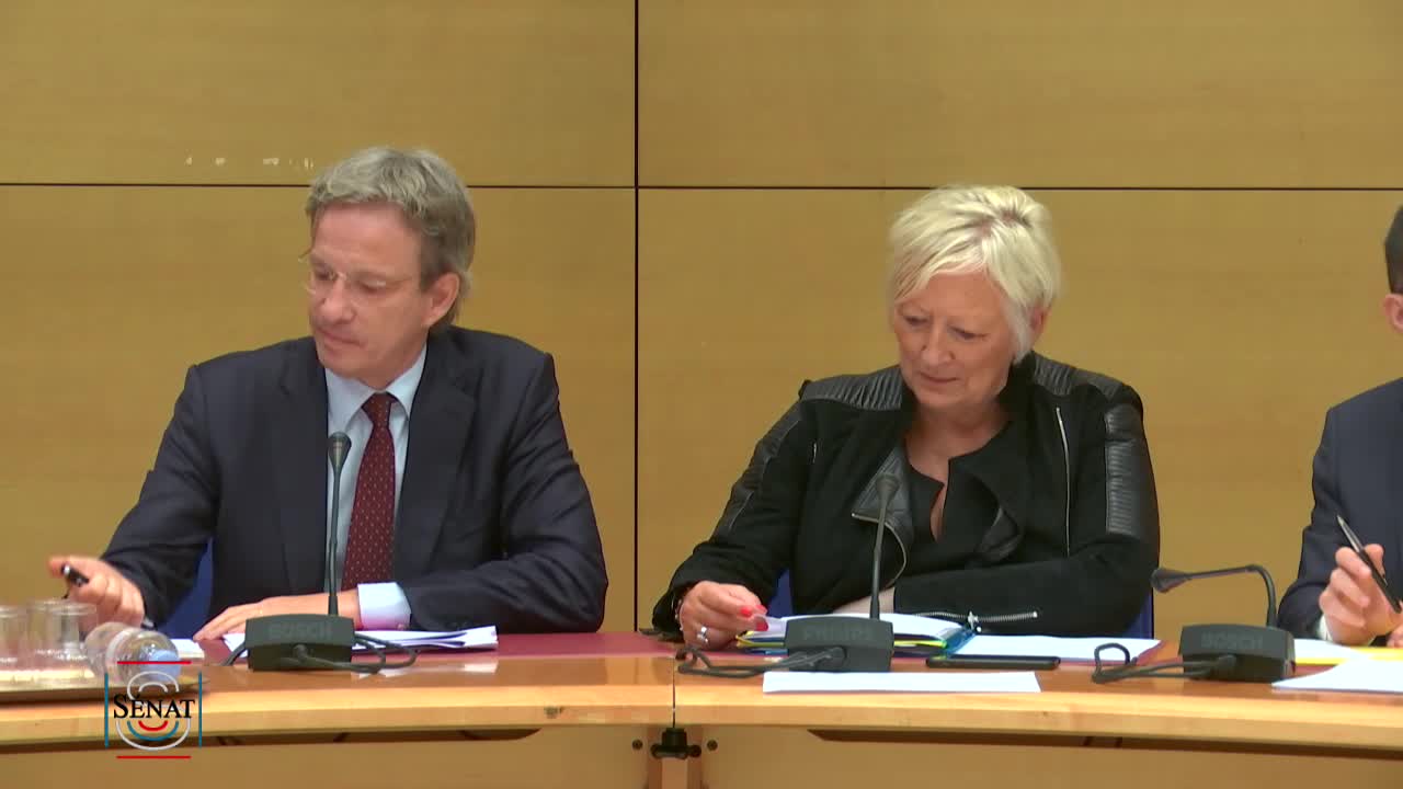 Audition de M. Fabrice Fries, PDG de l'AFP