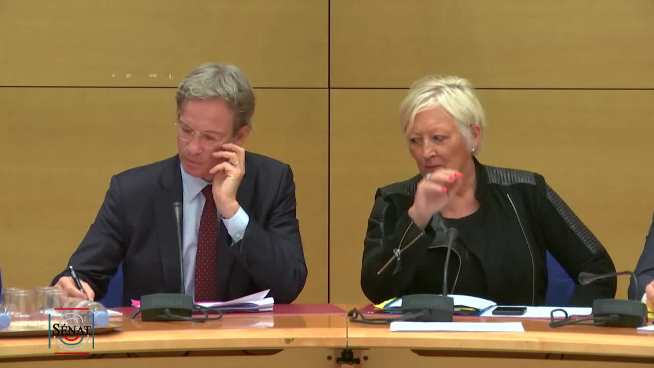 Audition de M. Fabrice Fries, PDG de l'AFP