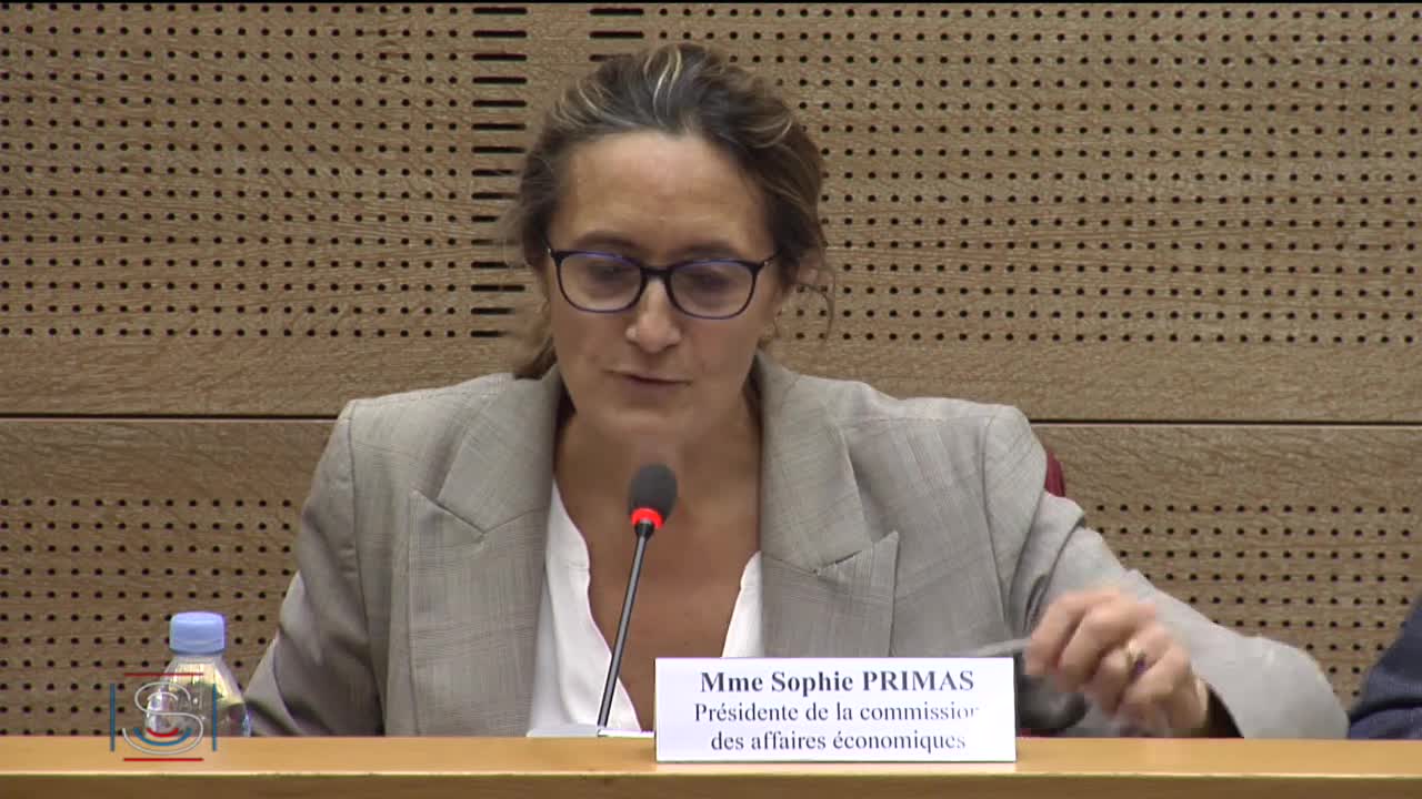 Audition de M. Wahl, PDG du Groupe La Poste