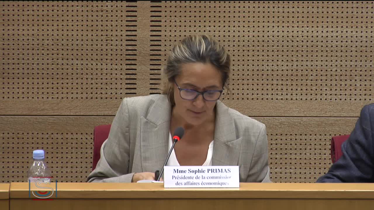 Audition de M. Wahl, PDG du Groupe La Poste