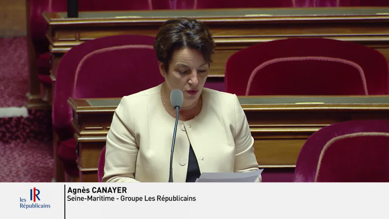 Séance publique du 2 octobre 2018 (après-midi)