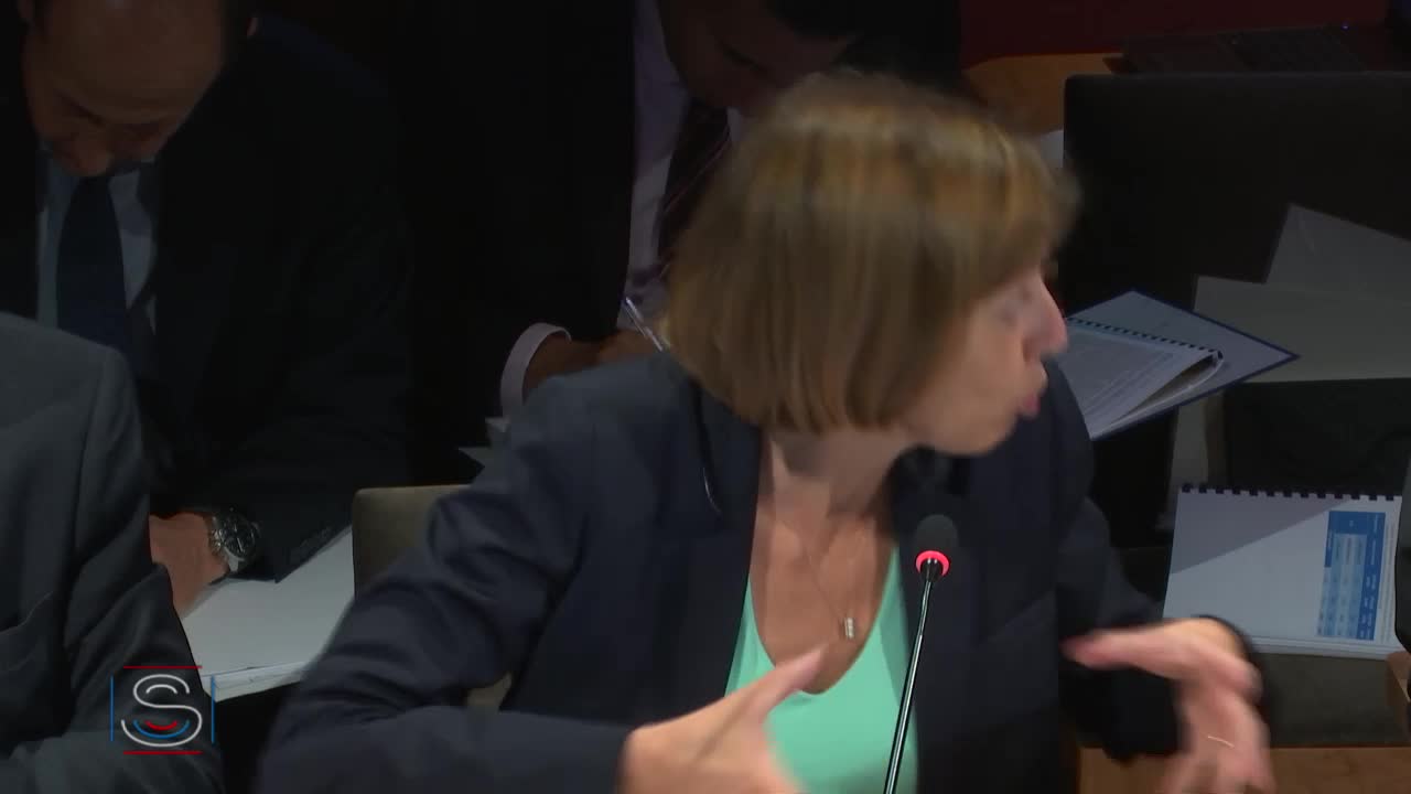 PLF 2019 - Audition de Mme Florence Parly, ministre des Armées