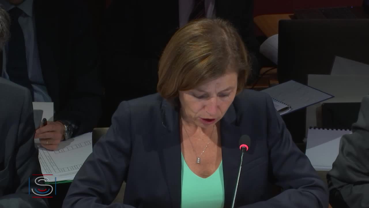 PLF 2019 - Audition de Mme Florence Parly, ministre des Armées